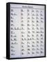 Cherokee Alphabet, Developed in 1821-null-Framed Stretched Canvas