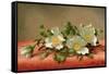 Cherokee Roses, 1889-Martin Johnson Heade-Framed Stretched Canvas