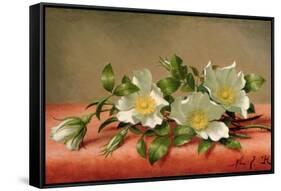 Cherokee Roses, 1889-Martin Johnson Heade-Framed Stretched Canvas