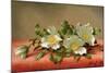 Cherokee Roses, 1889-Martin Johnson Heade-Mounted Giclee Print