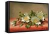 Cherokee Roses, 1889-Martin Johnson Heade-Framed Stretched Canvas