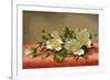 Cherokee Roses, 1889-Martin Johnson Heade-Framed Giclee Print