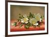 Cherokee Roses, 1889-Martin Johnson Heade-Framed Giclee Print