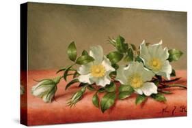 Cherokee Roses, 1889-Martin Johnson Heade-Stretched Canvas