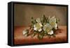 Cherokee Roses, 1889-Martin Johnson Heade-Framed Stretched Canvas