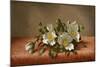 Cherokee Roses, 1889-Martin Johnson Heade-Mounted Giclee Print