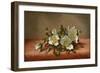 Cherokee Roses, 1889-Martin Johnson Heade-Framed Giclee Print