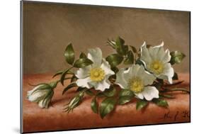 Cherokee Roses-Martin Johnson Heade-Mounted Giclee Print