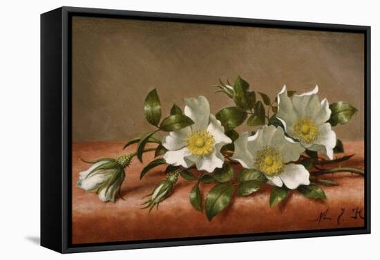 Cherokee Roses-Martin Johnson Heade-Framed Stretched Canvas