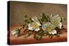 Cherokee Roses-Martin Johnson Heade-Stretched Canvas