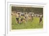 Cherokee Stickball, North Carolina-null-Framed Art Print