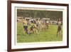 Cherokee Stickball, North Carolina-null-Framed Art Print