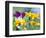 Cherokee Sunset Rudbeckia, Seattle, Washington, USA-Terry Eggers-Framed Photographic Print