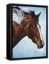 Cherokee-Jenny Newland-Framed Stretched Canvas