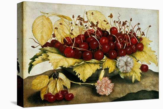 Cherries and Carnations-Giovanna Garzoni-Stretched Canvas