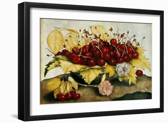 Cherries and Carnations-Giovanna Garzoni-Framed Giclee Print