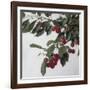 Cherries, c.1883-Henri Fantin-Latour-Framed Giclee Print