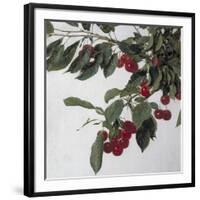 Cherries, c.1883-Henri Fantin-Latour-Framed Giclee Print