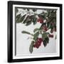 Cherries, c.1883-Henri Fantin-Latour-Framed Giclee Print