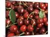 Cherries (Full Frame)-Foodcollection-Mounted Photographic Print