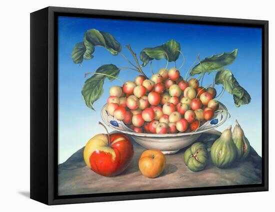 Cherries in Delft Bowl with Red and Yellow Apple-Amelia Kleiser-Framed Stretched Canvas