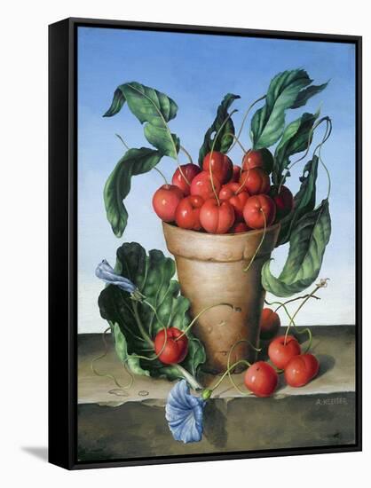 Cherries in Terracotta with Blue Flower-Amelia Kleiser-Framed Stretched Canvas