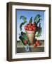 Cherries in Terracotta with Blue Flower-Amelia Kleiser-Framed Giclee Print