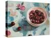 Cherries on Tablecloth-Jenny Westenhofer-Stretched Canvas