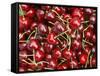 Cherries, Ripponvale, near Cromwell, Central Otago, South Island, New Zealand-David Wall-Framed Stretched Canvas