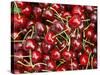 Cherries, Ripponvale, near Cromwell, Central Otago, South Island, New Zealand-David Wall-Stretched Canvas