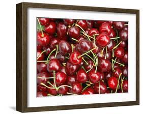 Cherries, Ripponvale, near Cromwell, Central Otago, South Island, New Zealand-David Wall-Framed Premium Photographic Print