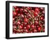 Cherries, Ripponvale, near Cromwell, Central Otago, South Island, New Zealand-David Wall-Framed Premium Photographic Print
