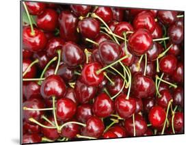 Cherries, Ripponvale, near Cromwell, Central Otago, South Island, New Zealand-David Wall-Mounted Premium Photographic Print