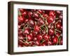 Cherries, Ripponvale, near Cromwell, Central Otago, South Island, New Zealand-David Wall-Framed Photographic Print