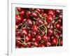 Cherries, Ripponvale, near Cromwell, Central Otago, South Island, New Zealand-David Wall-Framed Photographic Print