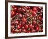 Cherries, Ripponvale, near Cromwell, Central Otago, South Island, New Zealand-David Wall-Framed Photographic Print