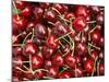 Cherries, Ripponvale, near Cromwell, Central Otago, South Island, New Zealand-David Wall-Mounted Photographic Print