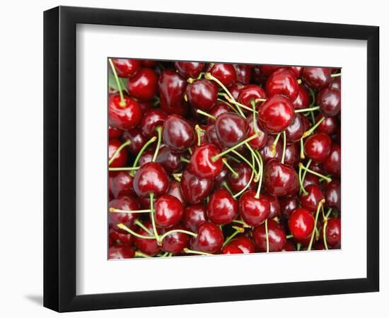 Cherries, Ripponvale, near Cromwell, Central Otago, South Island, New Zealand-David Wall-Framed Photographic Print