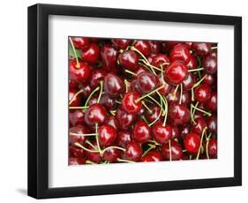 Cherries, Ripponvale, near Cromwell, Central Otago, South Island, New Zealand-David Wall-Framed Photographic Print