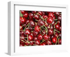 Cherries, Ripponvale, near Cromwell, Central Otago, South Island, New Zealand-David Wall-Framed Photographic Print