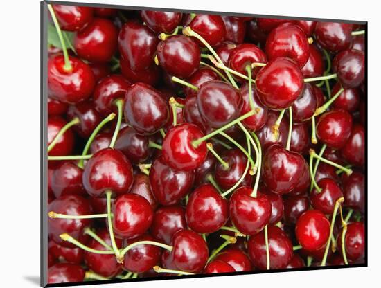 Cherries, Ripponvale, near Cromwell, Central Otago, South Island, New Zealand-David Wall-Mounted Photographic Print