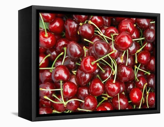 Cherries, Ripponvale, near Cromwell, Central Otago, South Island, New Zealand-David Wall-Framed Stretched Canvas