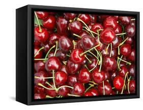 Cherries, Ripponvale, near Cromwell, Central Otago, South Island, New Zealand-David Wall-Framed Stretched Canvas