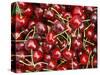 Cherries, Ripponvale, near Cromwell, Central Otago, South Island, New Zealand-David Wall-Stretched Canvas