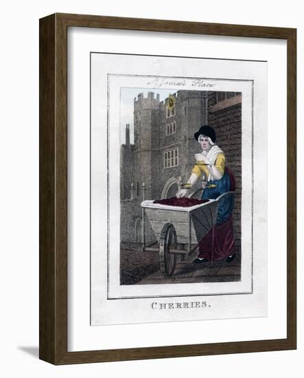 Cherries, St James's Palace, London, 1805-null-Framed Giclee Print