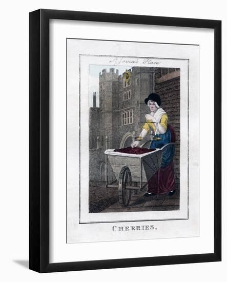 Cherries, St James's Palace, London, 1805-null-Framed Giclee Print