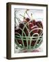 Cherries with Drops of Water in Wire Basket-Foodcollection-Framed Photographic Print