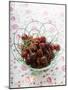 Cherries with Drops of Water in Wire Basket-Foodcollection-Mounted Photographic Print
