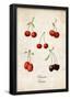 Cherries-null-Framed Poster