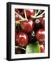 Cherries-Foodcollection-Framed Photographic Print